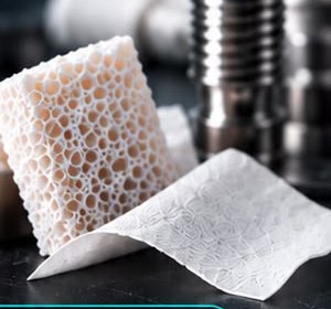 Biomateriais Regener: enxerto em bloco poroso e membrana